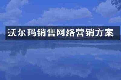 沃尔玛销售网络营销方案