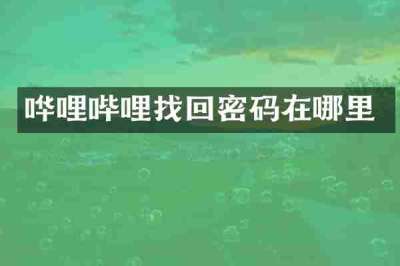 哗哩哔哩找回密码在哪里