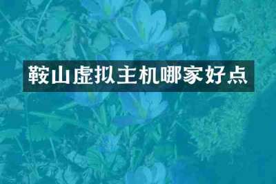 鞍山虚拟主机哪家好点