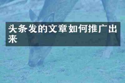 头条发的文章如何推广出来