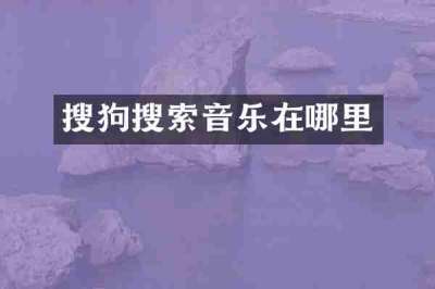 搜狗搜索音乐在哪里