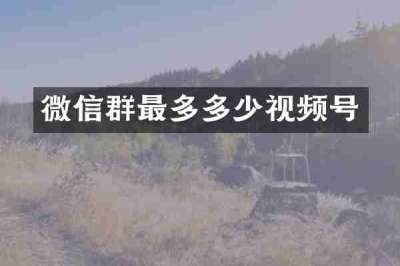 微信群最多多少视频号