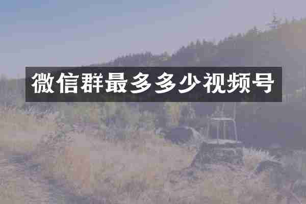 微信群最多多少视频号