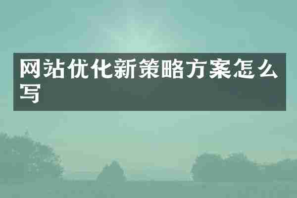 网站优化新策略方案怎么写