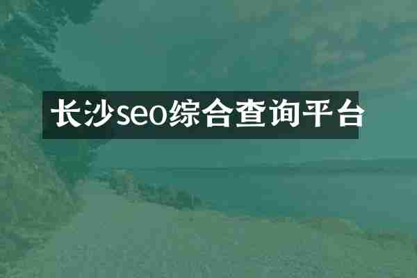 长沙seo综合查询平台
