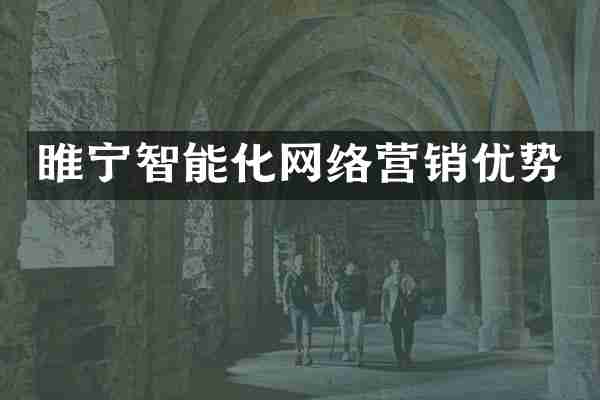 睢宁智能化网络营销优势