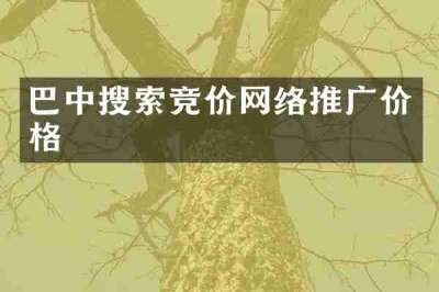 巴中搜索竞价网络推广价格