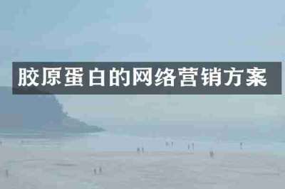 胶原蛋白的网络营销方案