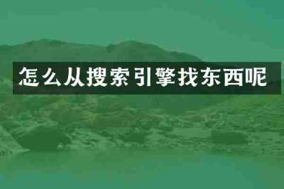 怎么从搜索引擎找东西呢