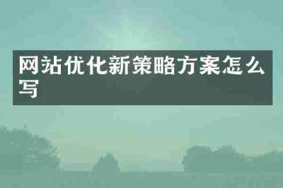 网站优化新策略方案怎么写