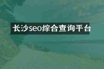 长沙seo综合查询平台