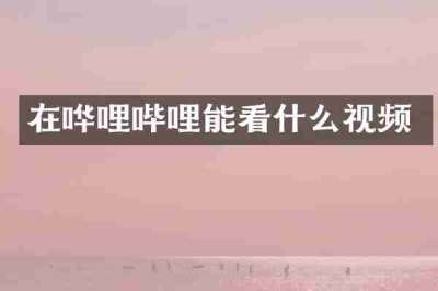 在哗哩哔哩能看什么视频