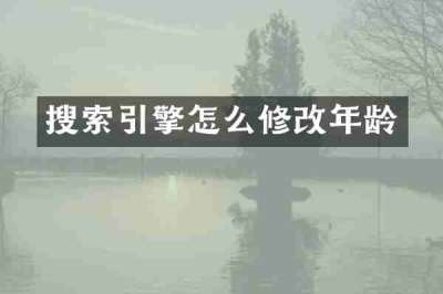 搜索引擎怎么修改年龄
