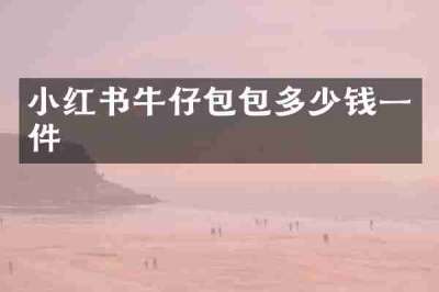 小红书牛仔包包多少钱一件