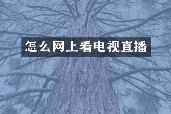 怎么网上看电视直播