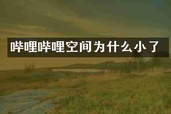 哔哩哔哩空间为什么小了