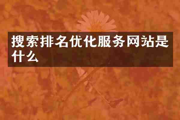 搜索排名优化服务网站是什么