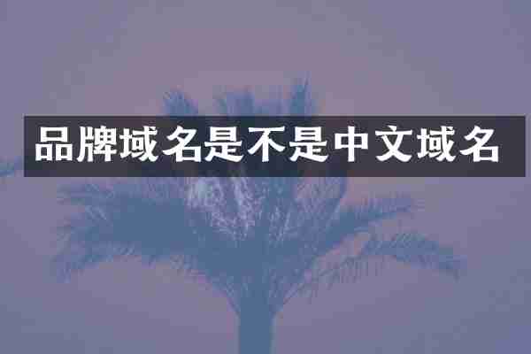 品牌域名是不是中文域名