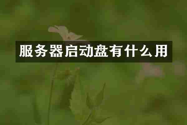 服务器启动盘有什么用
