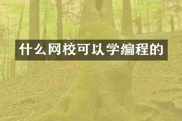 什么网校可以学编程的