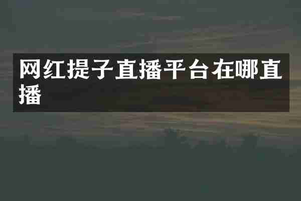 网红提子直播平台在哪直播