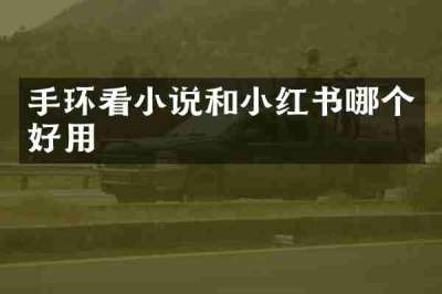 手环看小说和小红书哪个好用