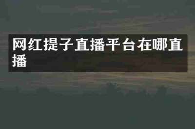 网红提子直播平台在哪直播