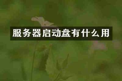 服务器启动盘有什么用