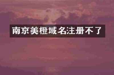 南京美橙域名注册不了