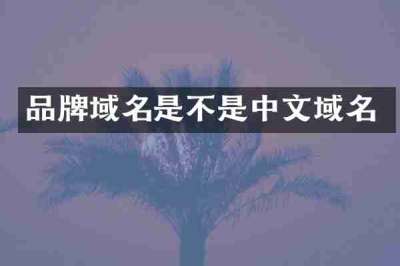 品牌域名是不是中文域名