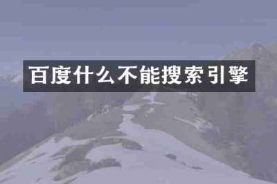 百度什么不能搜索引擎