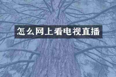 怎么网上看电视直播