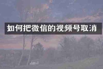 如何把微信的视频号取消