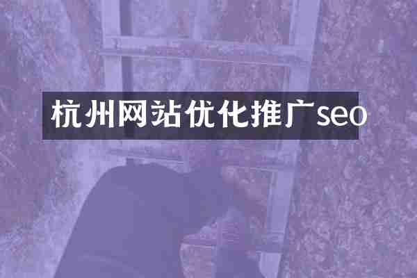 杭州网站优化推广seo