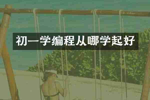 初一学编程从哪学起好