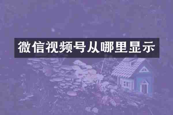 微信视频号从哪里显示