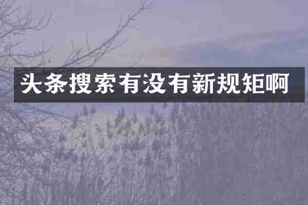 头条搜索有没有新规矩啊