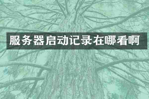 服务器启动记录在哪看啊