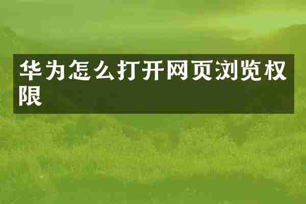 华为怎么打开网页浏览权限