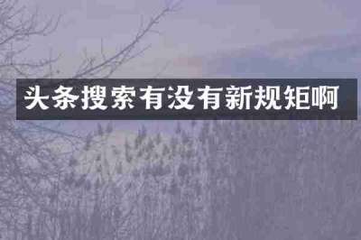 头条搜索有没有新规矩啊