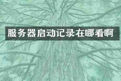 服务器启动记录在哪看啊
