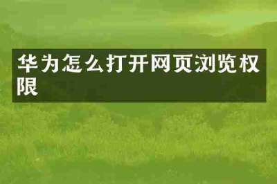 华为怎么打开网页浏览权限