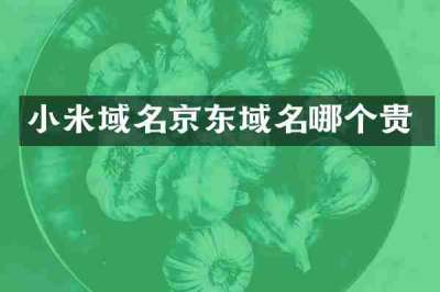 小米域名京东域名哪个贵