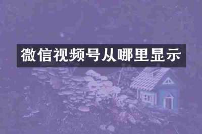 微信视频号从哪里显示
