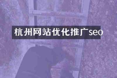 杭州网站优化推广seo