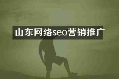 山东网络seo营销推广