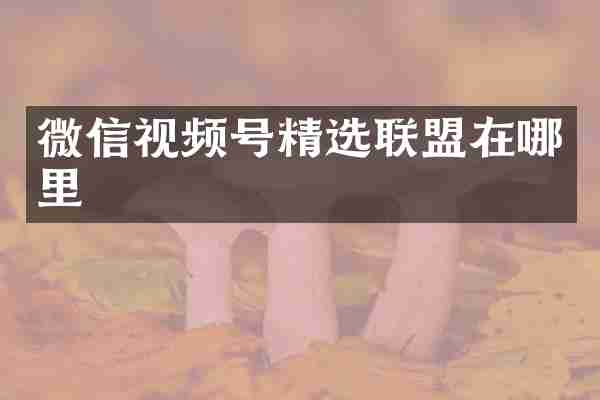 微信视频号精选联盟在哪里
