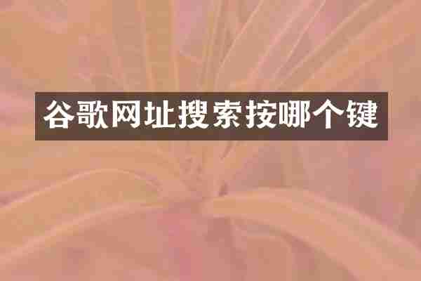 谷歌网址搜索按哪个键