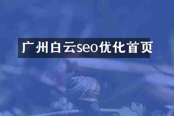广州白云seo优化首页
