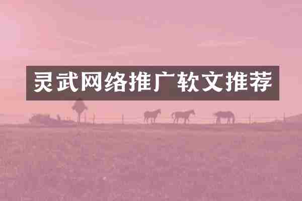 灵武网络推广软文推荐